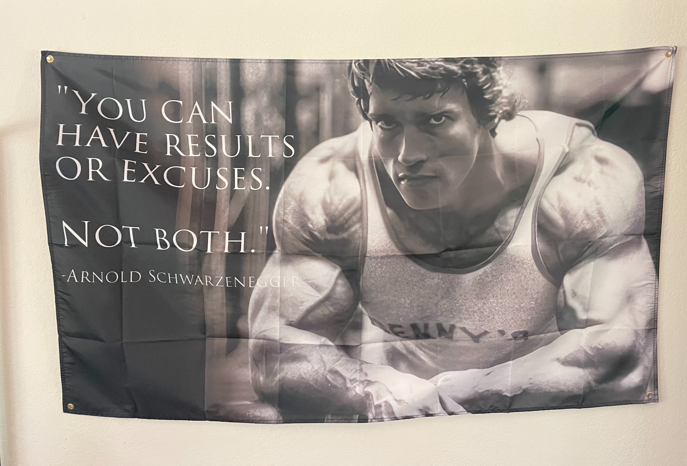 Wise words from Schwarzenegger-Sama